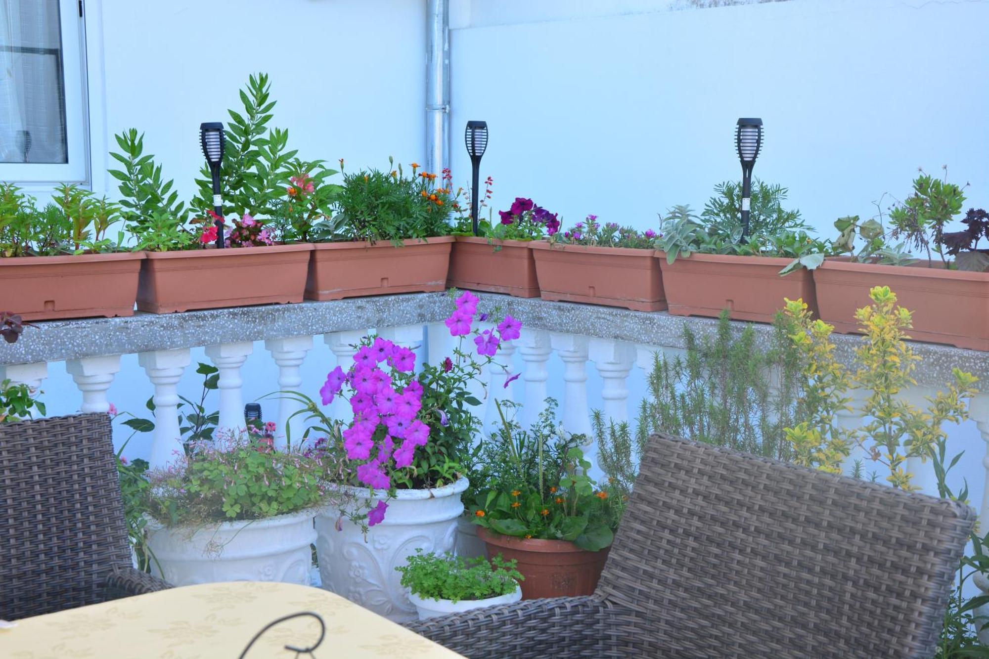 Guest House Vera Ulcinj Exterior foto